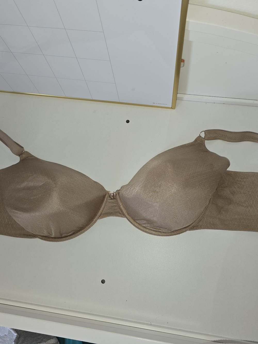 Vanity Fair Smooth T-Shirt Bra in Brown